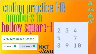 Coding Practice 14 B || numbers in Hallow Square-3|| NXT Wave|| CCBP || beginners problems || python