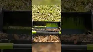 The Easiest Way to Clean Your Lawn (No Raking!)