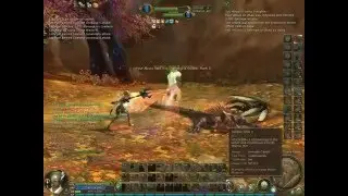 Aion Gladiator pvp 2.1 (another private server)