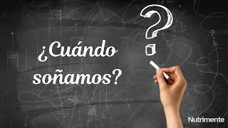 Fases del Sue&ntilde;o | &iquest;En qu&eacute; momento aparecen los sue&ntilde;os?