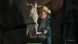 How To Grooming Your Horse  #secretanimals @WildHorseSecrets