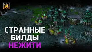 Что Делает этот игрок? KraV[UD] vs Neytpoh[NE] | Warcraft 3 Reforged