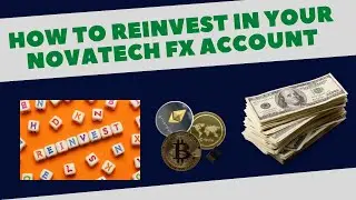 How to reinvest weekly NovaTech earnings