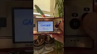 GB Micro | 20th Anniversary Edition #gameboy #gameboymicro #20thanniversary #nintendo