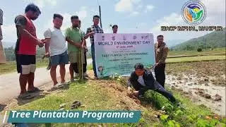 Tree Plantation Programme  on 