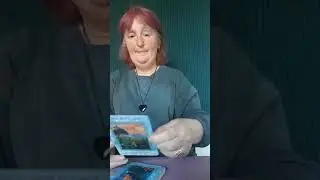 Magical Mermaids and Dolphins oracle