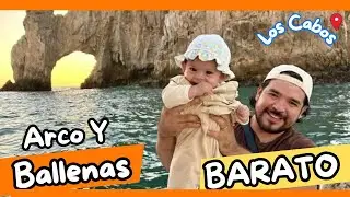 Como hacer el Tour al Arco + Avistamiento de Ballenas📍Los Cabos 🌊🐳Barato,Incre&iacute;ble y 100% Real