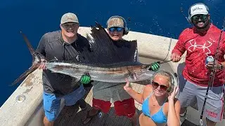 Sailfish catch and release 