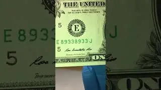 Repeater fancy serial number