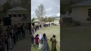 Cizreli aşiret düğünü