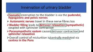 urinary bladder MRCS question solve (CRACK MRCS)
