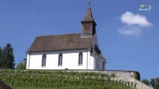 Insel Rheinau
