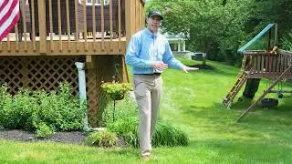 How To Get The Most Success Out Of Your Mosquito Program