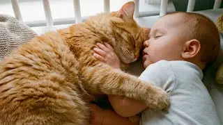 Kitten Watching Over Sleeping Baby 😴😻 | Cutest Compilation