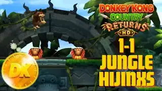 [Donkey Kong Country Returns HD] Time Trials 1-1 Jungle Hijinxs Shiny Gold 100%
