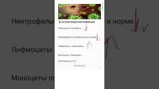 FP-Clinic. Как по общему анализу крови заподозрить вирусную и бактериальную инфекцию.