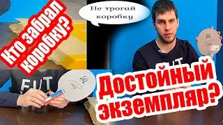Распаковка и осмотр бюджетного основания для настольного тенниса Loki RXTON 1