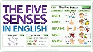 Five Senses in English - Sight Smell Hearing Taste Touch | Learn English Vocabulary