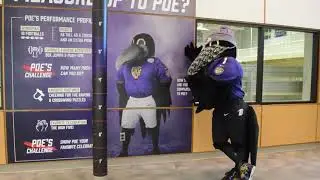 Poe's Day at the J!