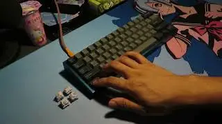 Hippo Switches Lubed on POM Plate Sound Test Klippe T
