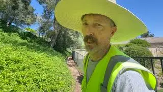 Young Tree Pruning