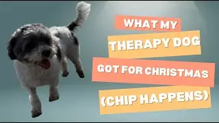 🎄🐶 What My Therapy Dog Got for Christmas | Chip Happens 🐶🎄