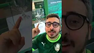 O PALMEIRAS TEM MUNDIAL! CHOREM, RIVAIS 😂 #palmeiras #futebol #mundial
