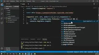 Filter on API Response in Node js
