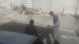 The foot walking dead RDM 2020