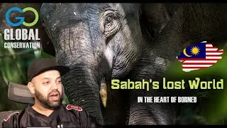 Sabah's Lost World - In the Heart of Borneo Reaction | Malaysia Reaction | MR Halal Reacts