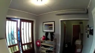 Friday Fun With Bjorn