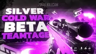 Silver: Cold War Beta Cams!