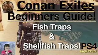 Fish Traps & Shellfish Traps! Conan Exiles Beginners Guide