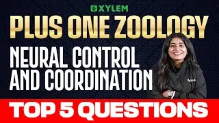 Plus One Zoology | Neural Control and Coordination | Top 5 Questions | Xylem Plus One
