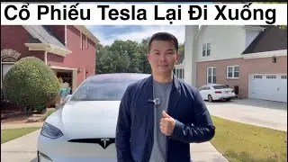 Почему акции Tesla падают
