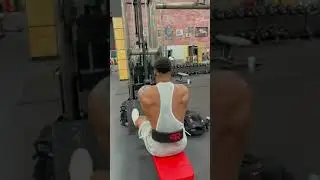 Workouts to grow a bigger back! - Chris Jae