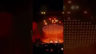 Harry Styles CRAZY again during Coachella Performance