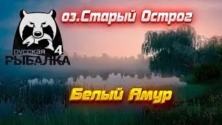 РР4 #9 оз.Старый Острог. Белый Амур чуть не порвал леску!!!