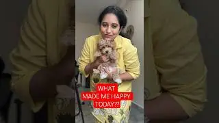 husband made me Happy?? | jewellery | sdl vlogs | sai studio ss | #telugushorts #hyderabadvlogs