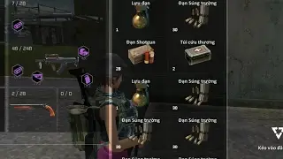 team misslv