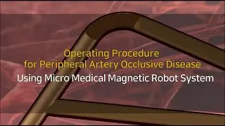 Operating Procedure for Peripheral Artery Occlusive Disease using Medical Magnetic Robot System