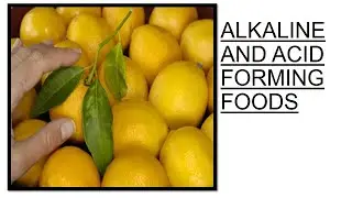 ALKALINE AND ACID FORMING FOODS | ALKALINE FOODS | ACIDIC FOOD |ACID FORMING FOODS | ALKALINE FORMER