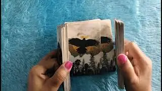 Jaisi Karni Waisi Bharni |Karma| Hindi Timeless Collective Tarot Reading 