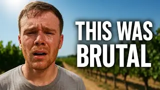 Wine Tasting in Spain During Extreme Heat | This Was Brutal