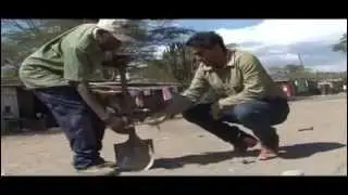 ASIATV100Net: UNEP: Naivasha - African Rift Valley Lake
