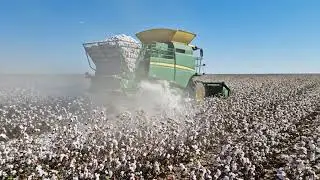 New Machine Harvesting Plants on the Farm 🚜🌾 | Modern Farming Technology