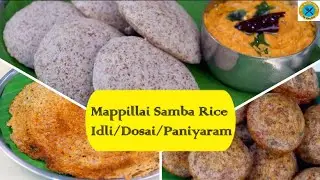 Mappillai Samba Rice Idli Dosa & Paniyaram |Mapilai Samba Tiffin Varieties |மாப்பிள்ளை சம்பா அரிசி|