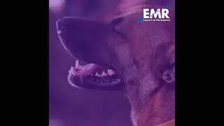 The global organic pet food market is projected to grow at a CAGR of 5% between 2021 and 2026