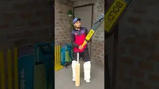 Is a Plastic Bat Better than a Leather bat?😱 #cricketshorts #cricket #cricketkit