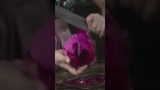 Red Dragon Fruit in Philippines #shorts #dragonfruit #philippines